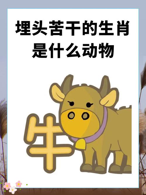 薄字是什么生肖,薄字是什么生肖动物