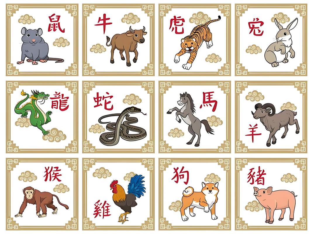 正确答案代表什么生肖和动物,正确答案代表什么生肖和动物有关