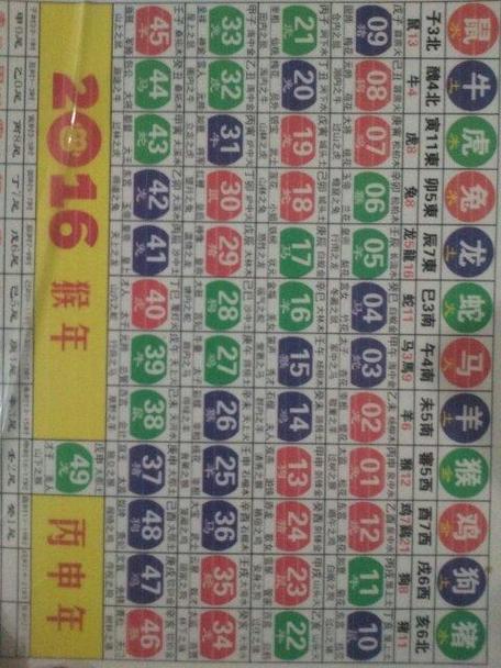 今期买猪输尽光打一最佳动物,今期买猴输尽光,忘了今夕是何年指什么生肖