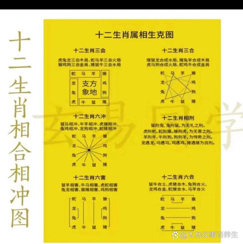 什么生肖克什么生肖,什么生肖克什么生肖属相