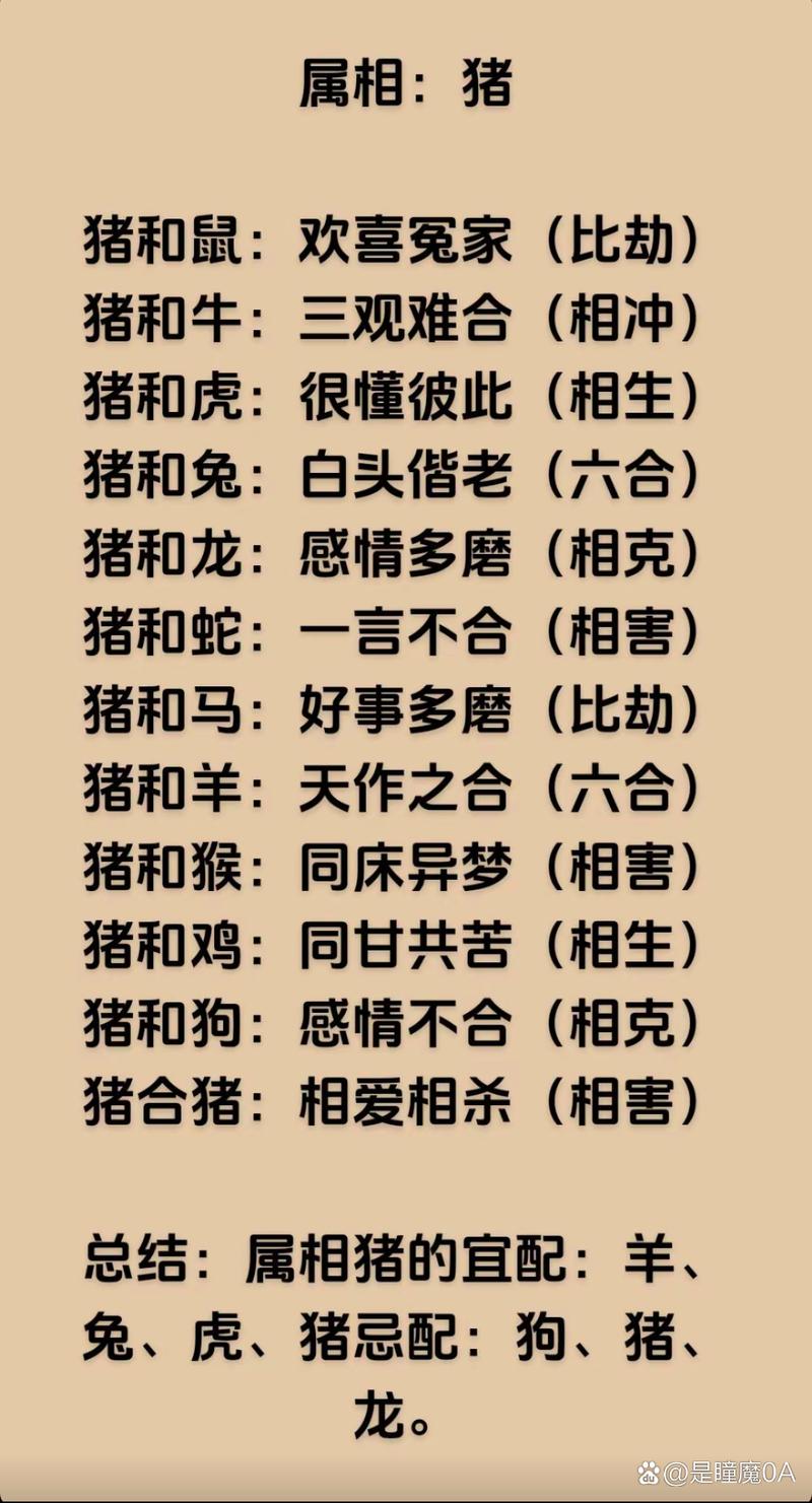 猪克什么生肖,猪和谁是天生一对