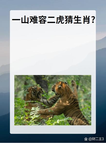 它打一生肖,它打一生肖最佳答案