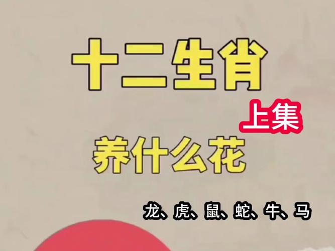 今期开金花最佳答案打一动物,今期开什么生肖动物视频2o19