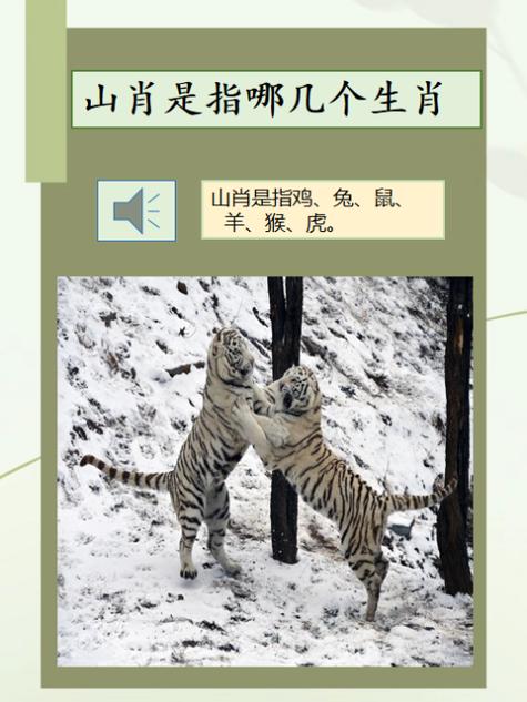 颠三倒四的生肖有哪些,颠三倒四是什么意思打一肖