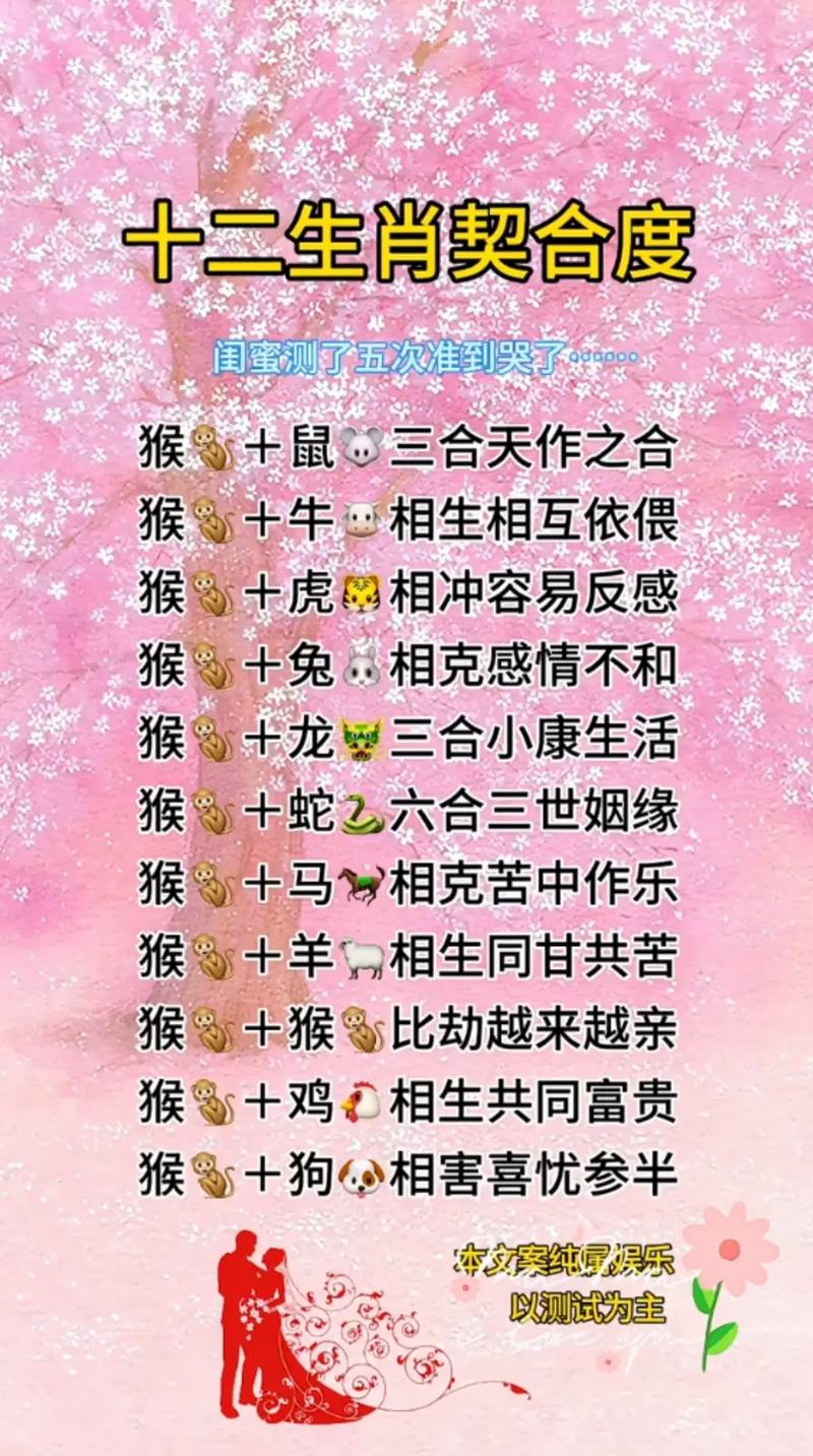 今期生肖定龙猴打一肖,今期生肖定猴猴打一数字