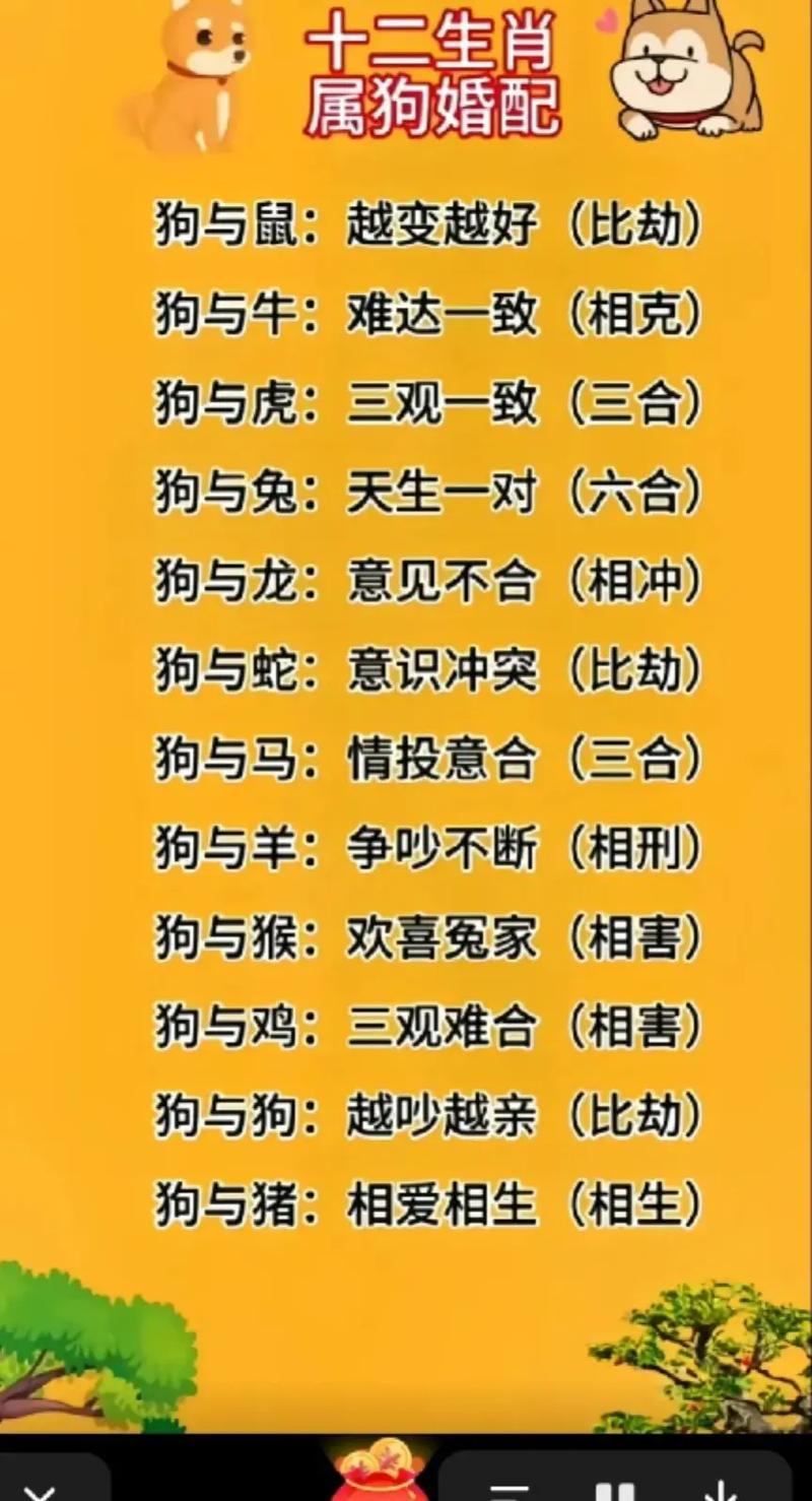 今期猴狗来相会是什么生肖,狗猴今期不中用,鸡虎羊龙有看头