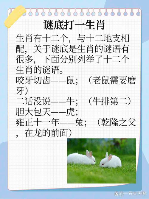 今期生肖在前二期的谜底,今期生肖是第一指什么生肖