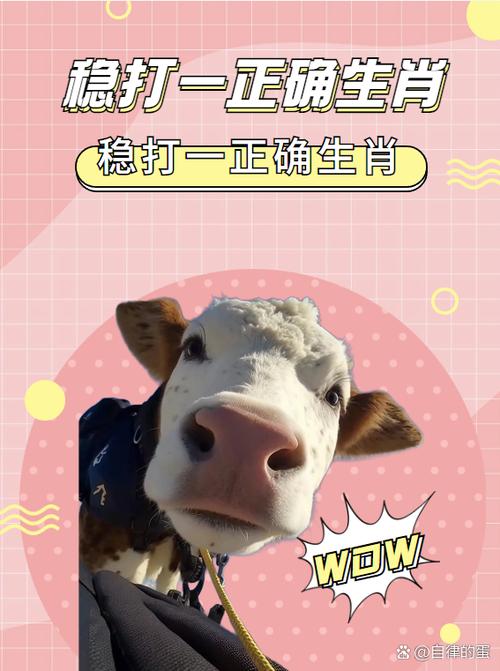 偶打一生肖,偶打一生肖动物