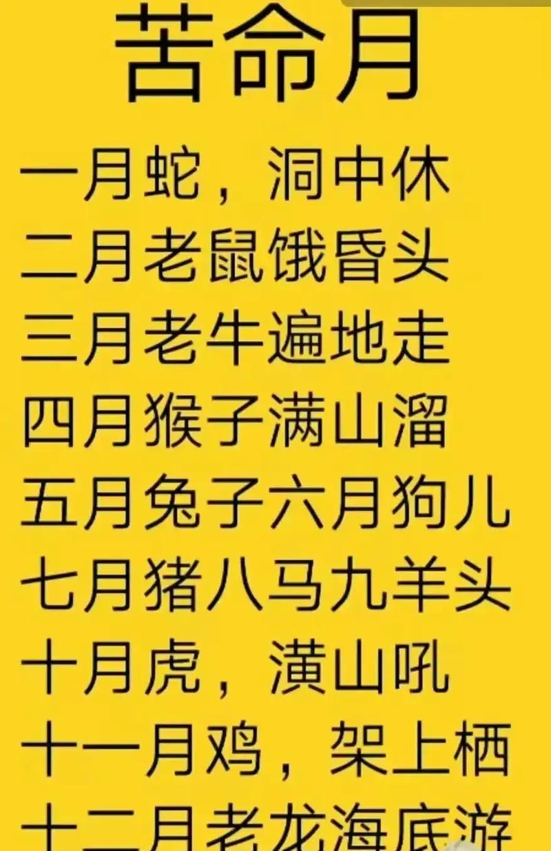 明月指什么生肖动物,明月肖是指哪几个生肖