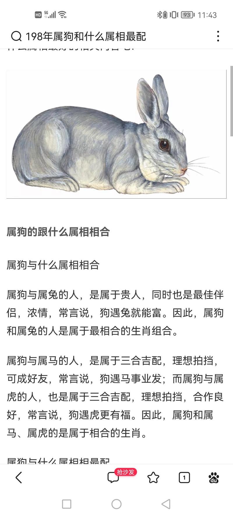“土狗”是什么生肖,虎王斗土狗是什么生肖
