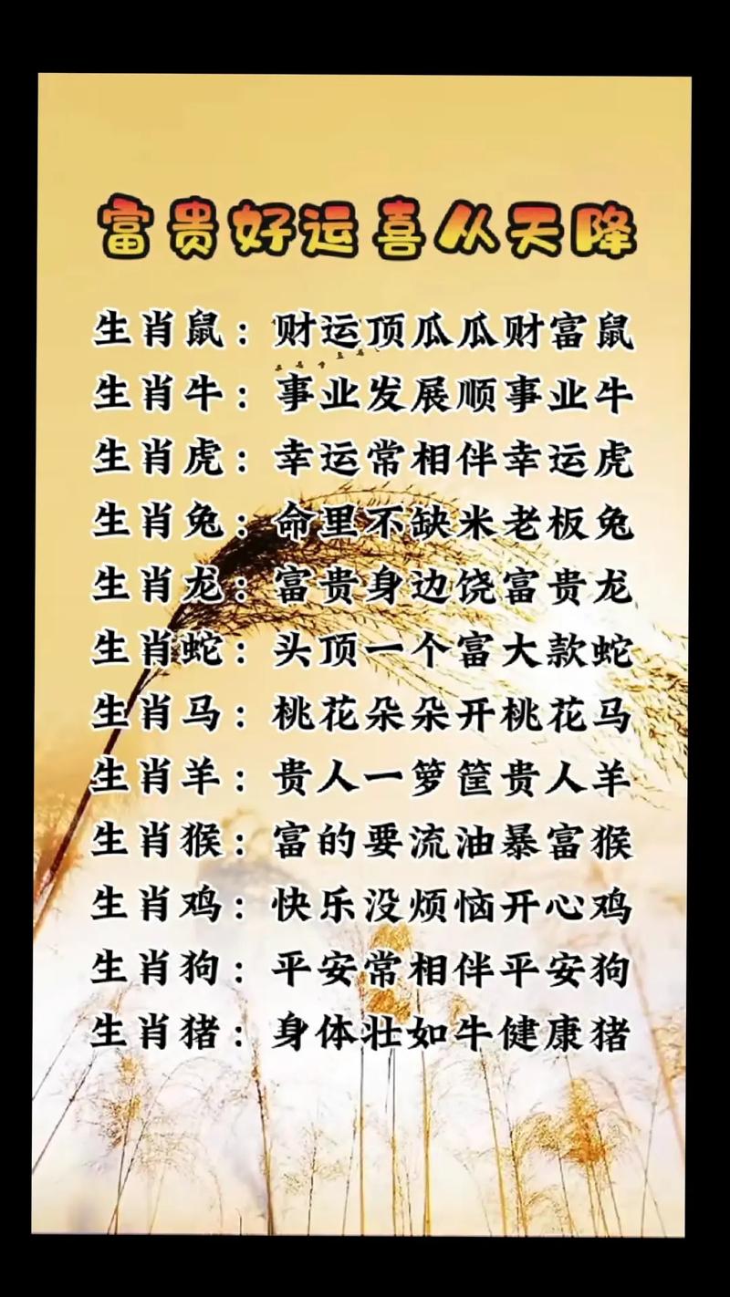 今期生肖出富家,今期生肖出富家正确答案