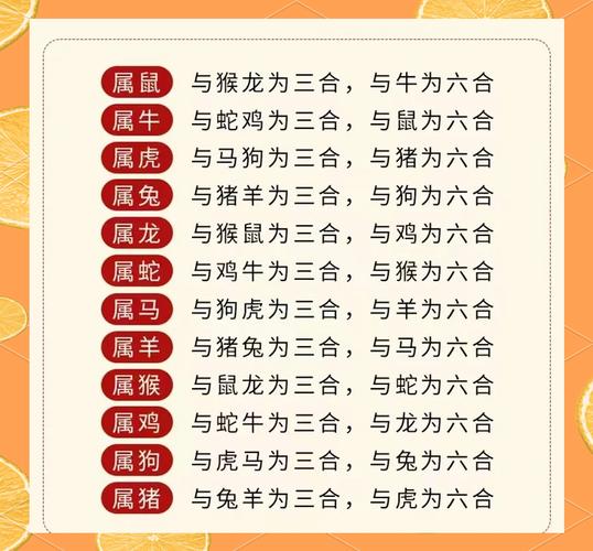 今期生肖三七开是什么动,今期生肖三七开是什么动物