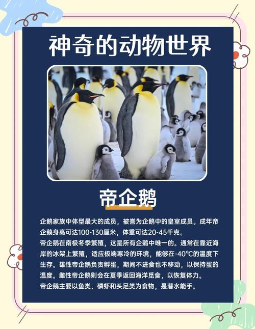 企鹅指什么生肖正确答案,企鹅是十二生肖的什么生肖