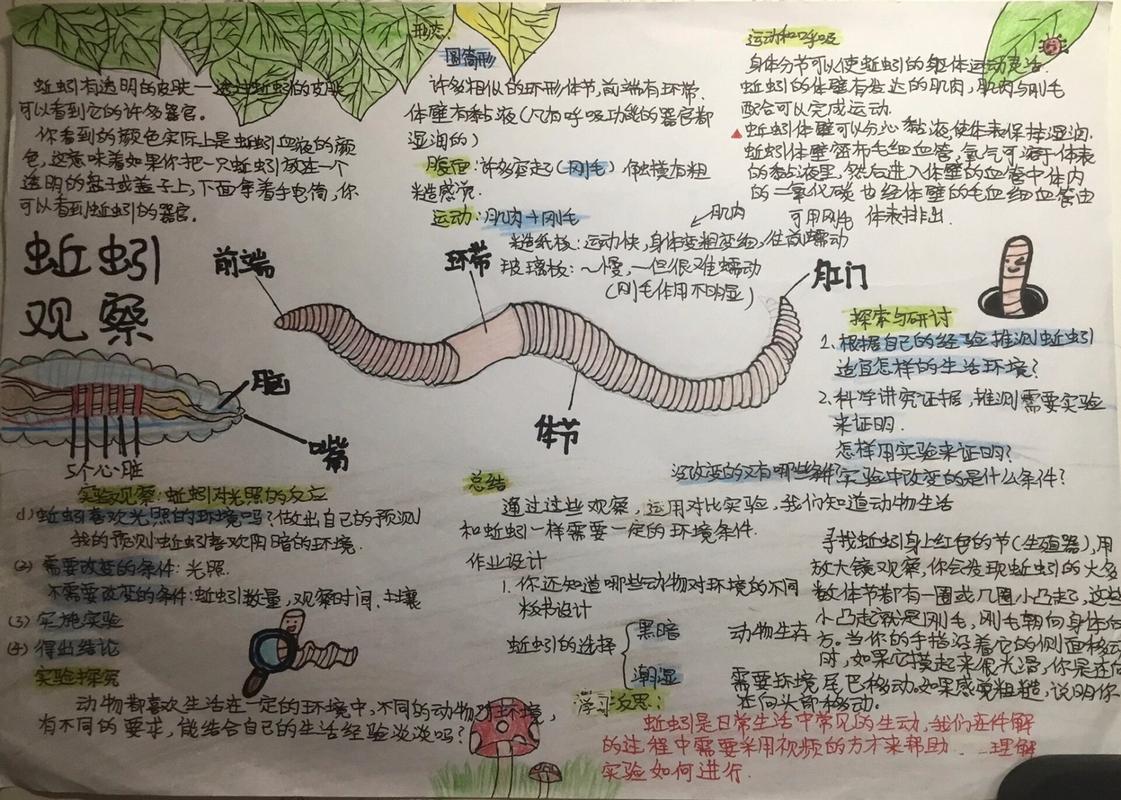 “小蚯蚓”打一生肖是什么的简单介绍