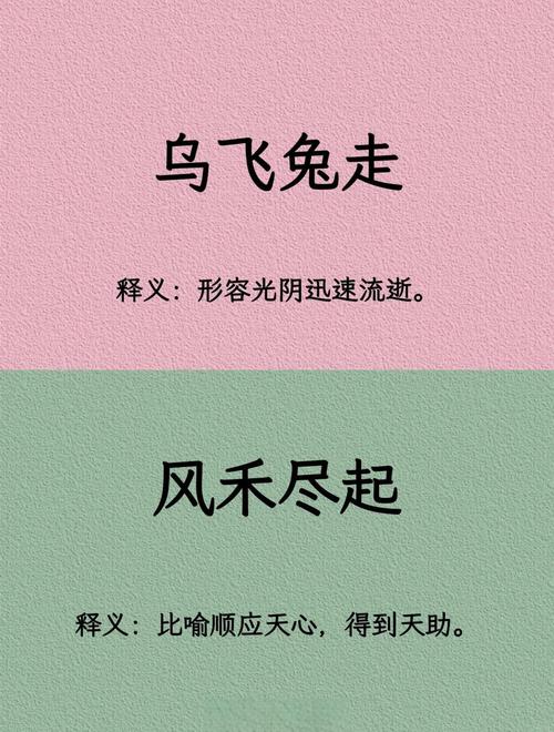 “鸟飞兔走”代表什么生肖,鸟飞兔走还是乌飞兔走的意思