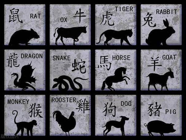 今期土木生肖头猜一数字,今期生肖土在头是什么肖和数字