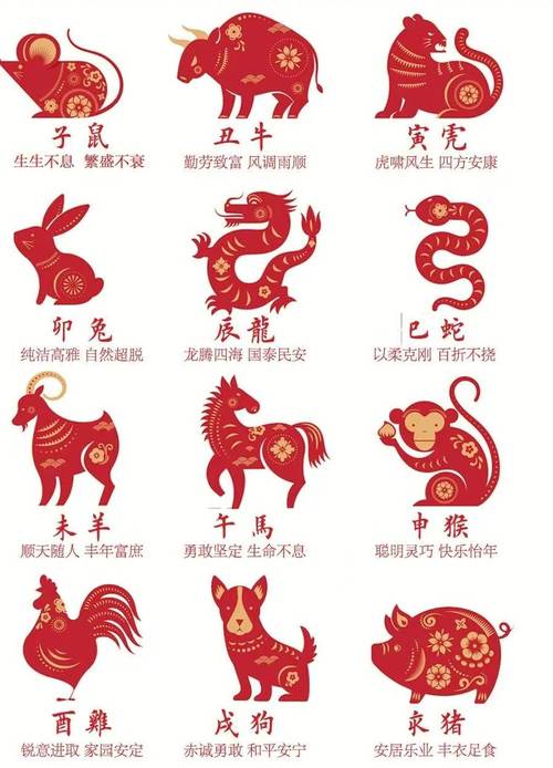今期二四合数开是什么生肖,今期二四合数开是什么生肖动物