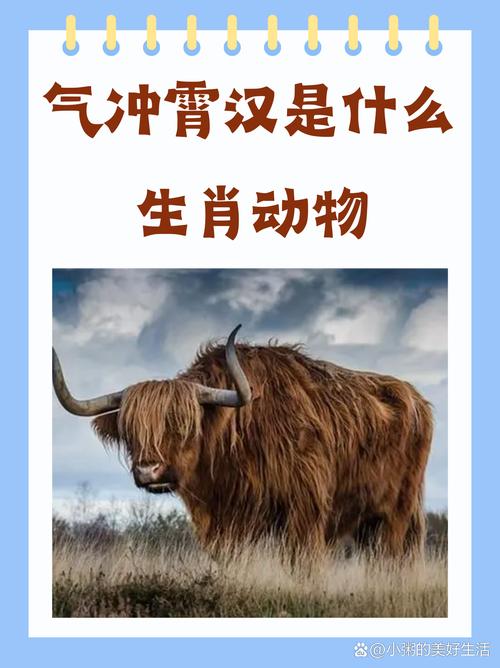 “华夏大地同龙脉”打一准确动物生肖的简单介绍