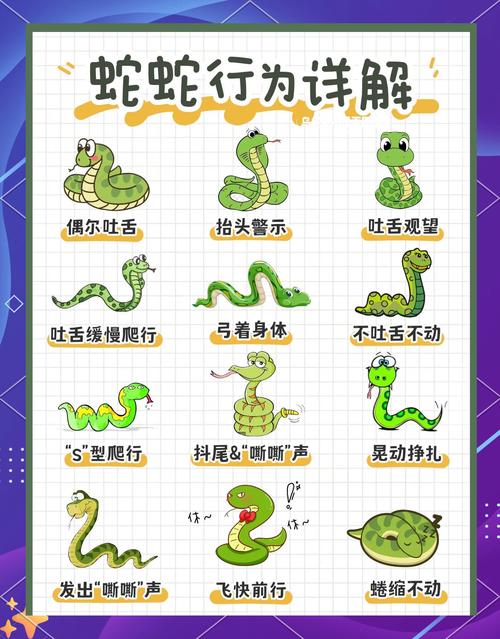 “鼠精拦路蛇相见”打一正确的生肖的简单介绍