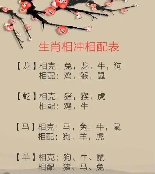 属兔什么生肖最配对,属兔的和什么生肖配对最好呢