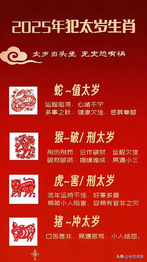 打一生肖帽顶比帽边要大,戴顶帽子帽边大是什么生肖