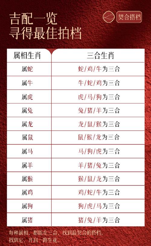 2019年猪年什么生肖犯太岁,2019年猪年什么生肖犯太岁呢