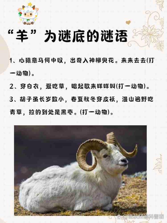 “雨过天晴来四九”打一准确生肖的简单介绍