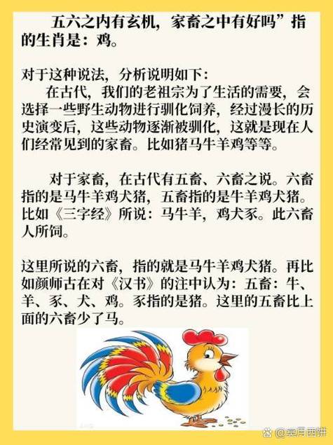 玄机的最正确生肖答案,玄机的最正确生肖答案是什么