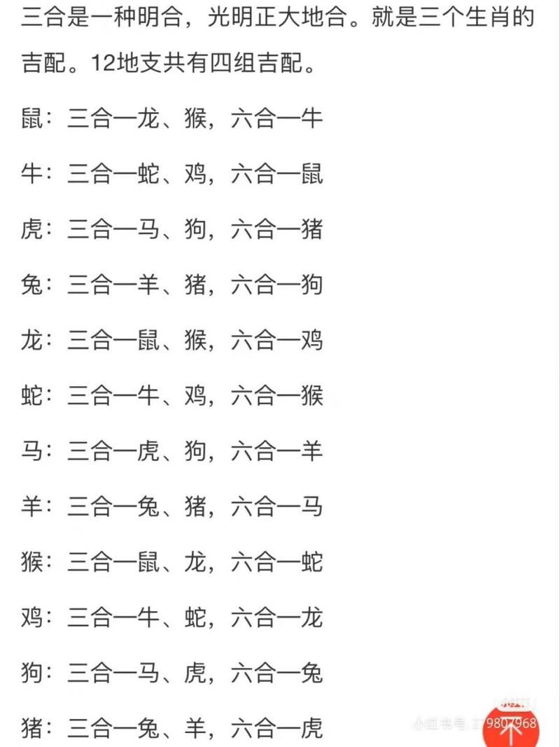 今期生肖一一开打一个生肖,今期生肖一一开打一个生肖数字