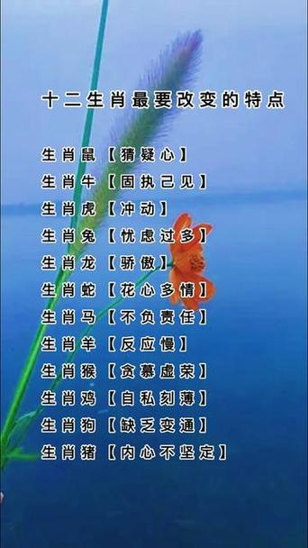 正确答案打一生肖单枪匹马的动物的简单介绍