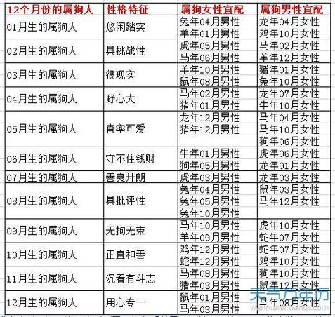 狗跟什么生肖最配婚姻,狗和什么生肖相配婚姻如何