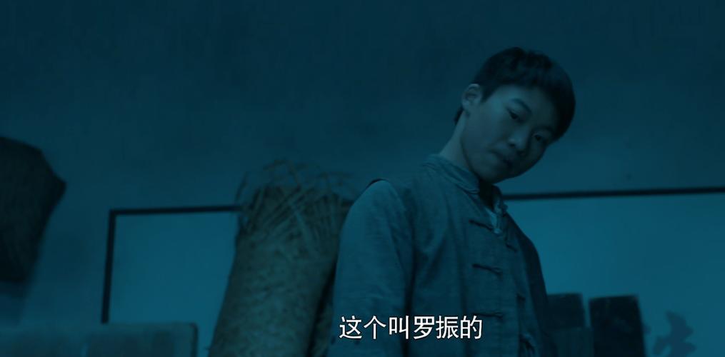 寻凶电影,寻凶电影罗振是好人吗