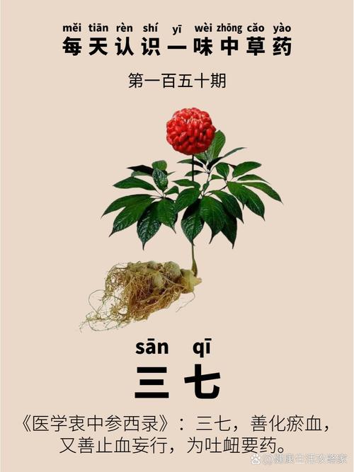 今期三七送给你是什么生肖的简单介绍
