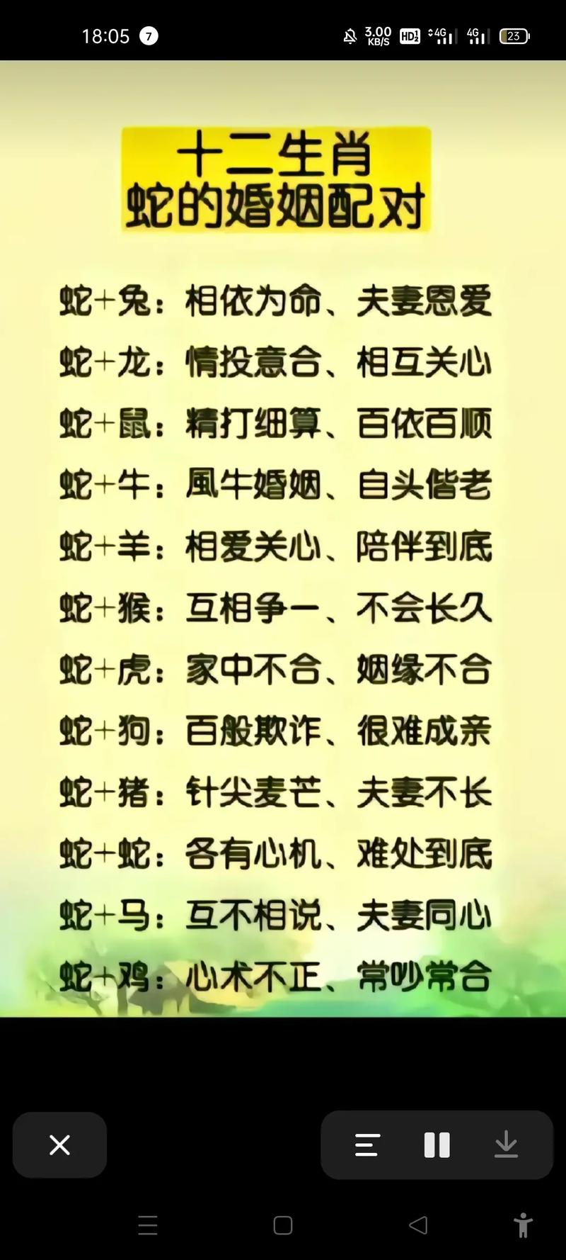 生肖男鼠配什么生肖女,生肖男鼠配生肖女蛇相配吗