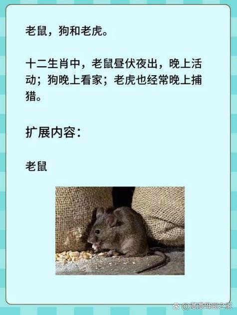 关于“莫待穷途，空留旧梦。四十风光乐有余”是什么生肖动物的信息