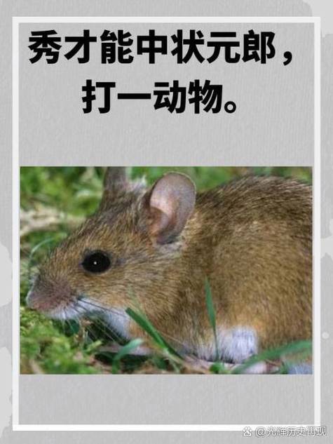 胜字打一准确生肖,胜字指的是什么动物