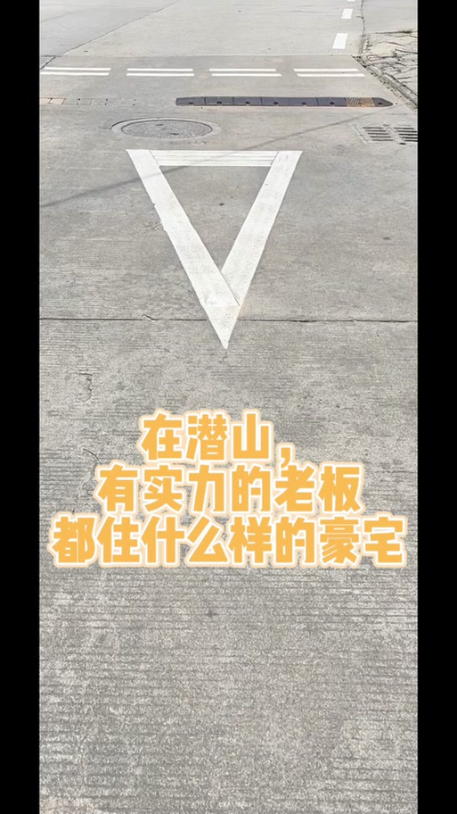关于“潜山隐市”打一生肖是什么的信息