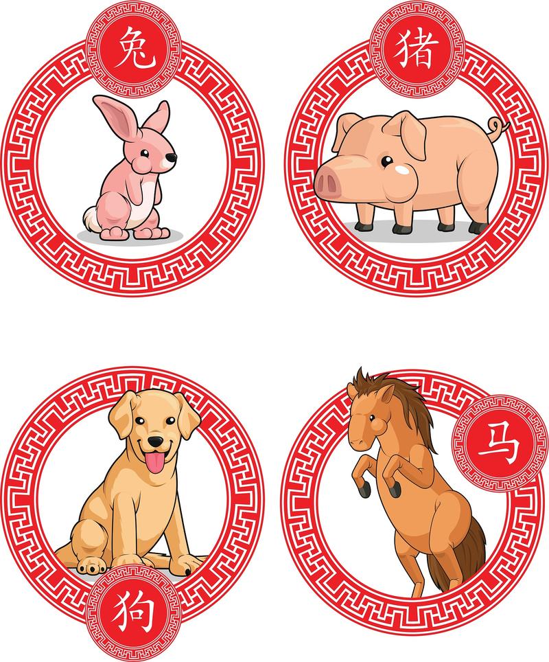 万箭穿心打一生肖是什么动物的简单介绍
