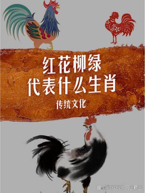 12生肖谁是红花,红花打一个正确生肖