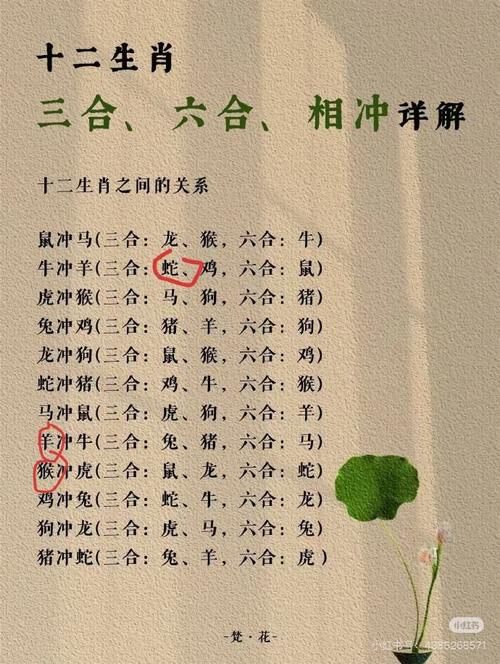 小数号今期来正确答案数字,今期就看小数号蛇猪虎肖有参考
