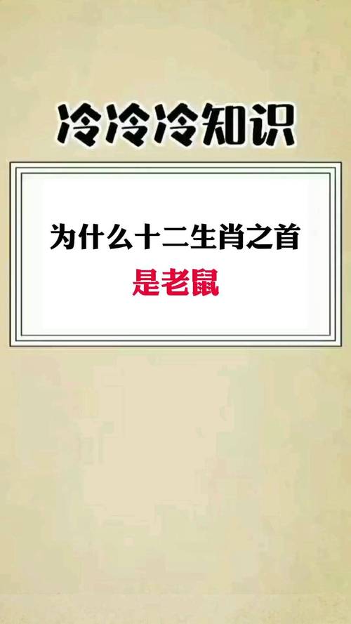 起首打一生肖,起首语是什么意思