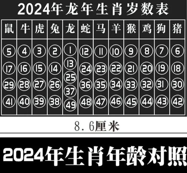 今期生肖得锦标什么意思,今期生肖最简单代表什么数字