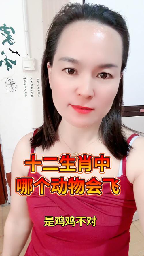 小心翼翼打一生肖最佳生肖,小心翼翼指十二生肖哪个动物