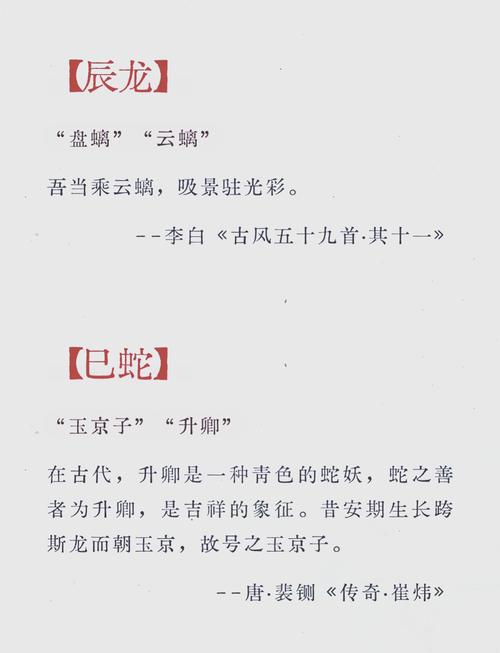 包含“道人指肖是鼠狗”是什么生肖的词条