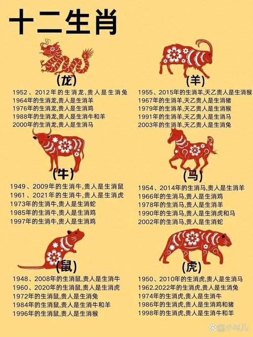 “十年踪迹”代表什么生肖的简单介绍