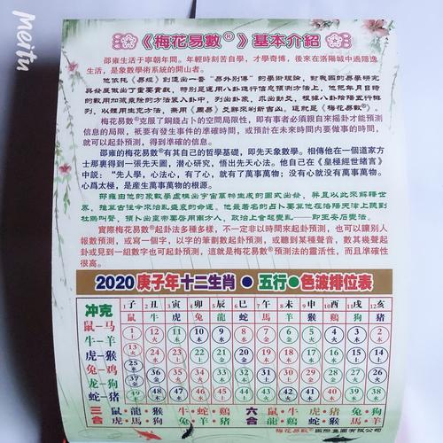 今期生肖红尾巴正确答案,生肖今期红红头是什么意思