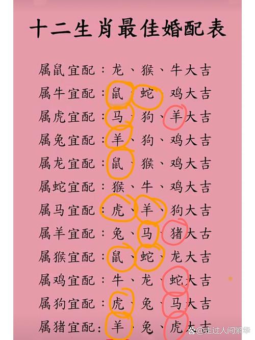 今期生肖看蛇羊是什么动物,今期生肖蛇羊猪,是什么意思啊