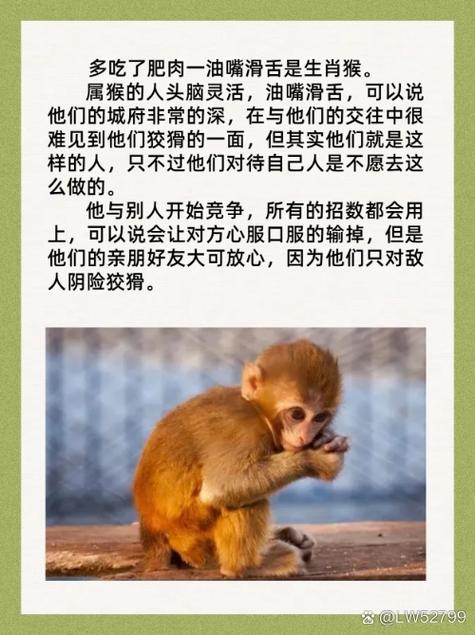 自己人打一生肖,自己人打一个动物