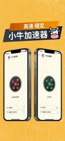 小牛加速器app下载,小牛加速器app下载安卓