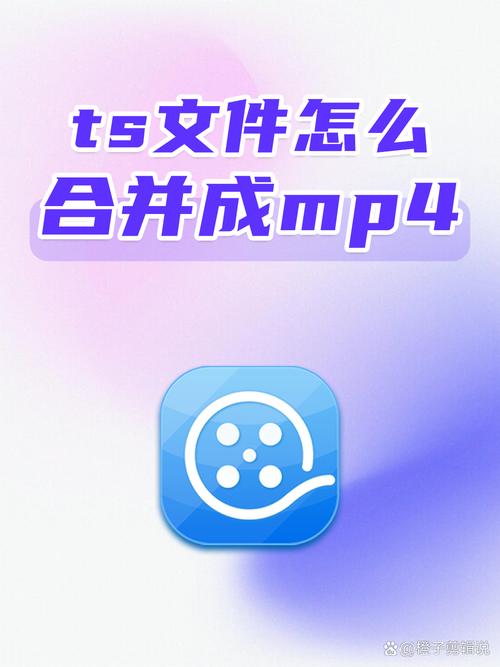 关于tg下载的视频在哪里查看的信息